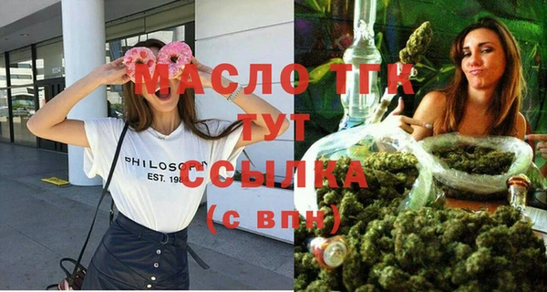 индика Волосово