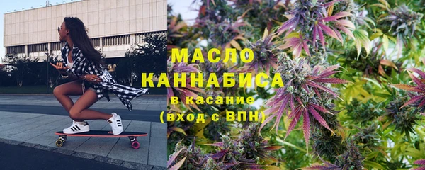 индика Волосово
