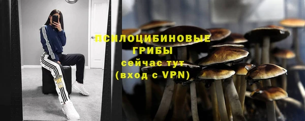 индика Волосово