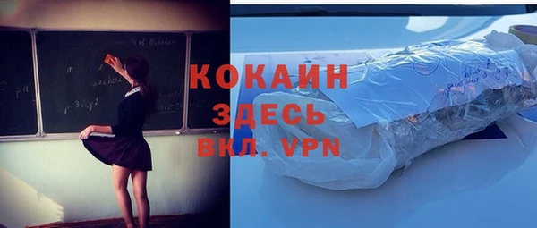 индика Волосово