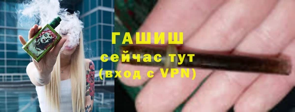 индика Волосово