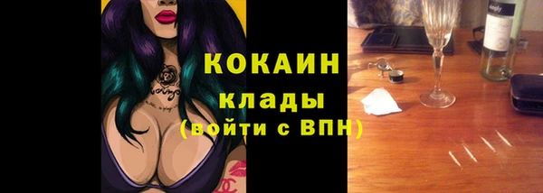 индика Волосово