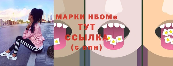 индика Волосово