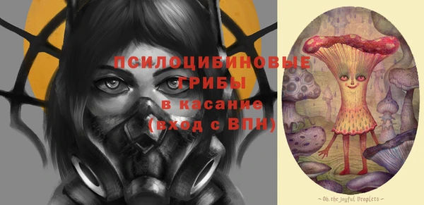 индика Волосово