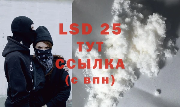 индика Волосово