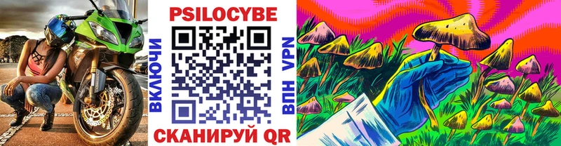 Галлюциногенные грибы MAGIC MUSHROOMS  купить закладку  Красногорск 